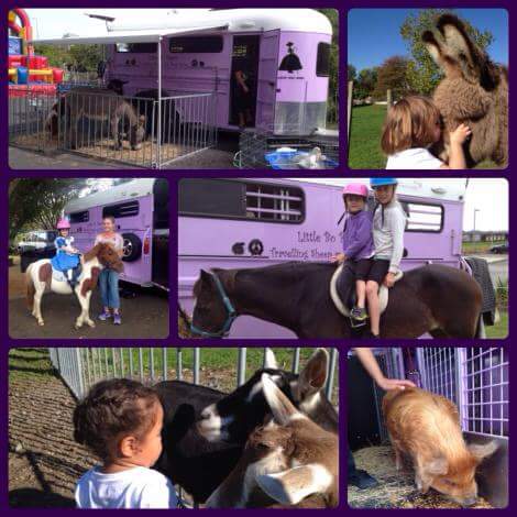 Mobile Barnyard and Pony Rides